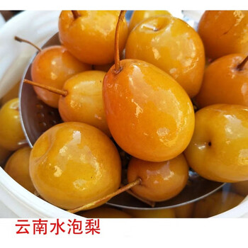 云南特产水泡梨个旧泡梨腌梨新鲜水果加甘草腌制甜脆泡梨2kg瓶装