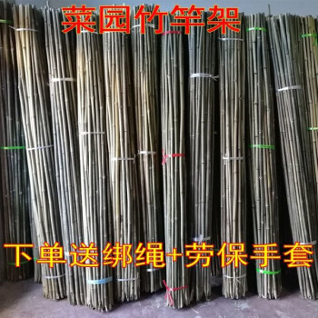种菜豆角黄瓜竹杆架竹杆子搭架爬藤植物用15厘米粗15米长30根绑绳手套