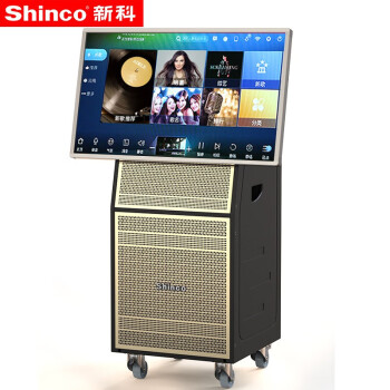新科shinco20a点歌机ktv音响套装家用卡拉ok点唱机视频音响一体机35