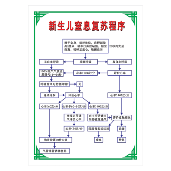 抢救流程图示意图wsb169wsb16915新生儿窒息复苏程序4060cmpp覆膜贴纸