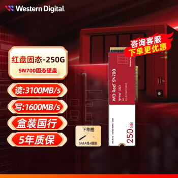 西部数据（WD）西部数据红盘 SSD固态硬盘 M.2接口网络储存(NAS)硬盘SN700 NVMe SSD SN700 250GB【WDS250G1R0C】
