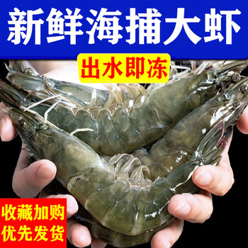 新鲜大虾鲜活冷冻海捕大虾整箱基围虾对虾青虾白虾海鲜水产索维奥1618