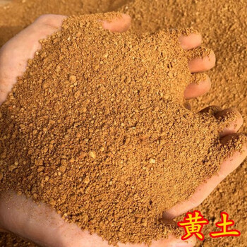 纯天然泥土 园土栽花土种菜土壤可混合营养土用 沙质细腻黄土 黄土9斤