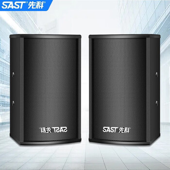 先科sast会议音箱舞台音箱设备卡包家用ktv音响家庭唱歌音箱k58吋会议
