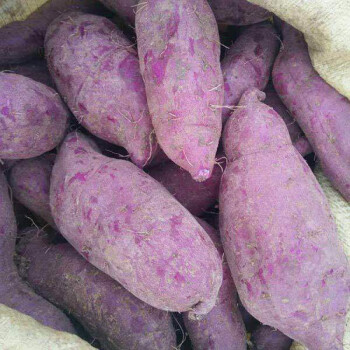现货直发沙地紫薯紫罗兰红薯新鲜蔬菜地瓜番薯粉糯香甜2斤5斤10斤10斤