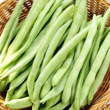 新鲜现摘四季豆云南高山扁豆豆角胡兰豆无筋豆角批发225斤装精选