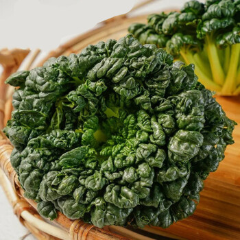 素界乌塌菜塌菜塔菜塌棵菜塌地松黑菜新鲜蔬菜江苏常熟茎叶清香可口3