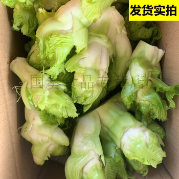 四川儿菜新鲜蔬菜嫩儿抱儿子母菜农家娃娃菜泡菜原料净重5斤新鲜儿菜