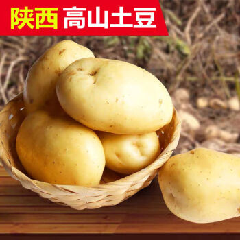现挖现发陕西高山土豆农家沙地黄皮土豆新鲜马铃薯5斤装中国邮政快递