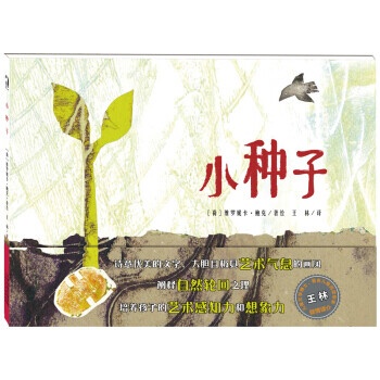 正版小种子荷维罗妮卡鲍克王林天津人民美术出版社9787530579060