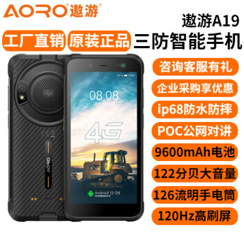 遨游（AORO）A19 三防智能手机 ip68防水防摔防尘 本安型工业防爆智能手机终端化工厂煤矿石油 遨游A19三防手机