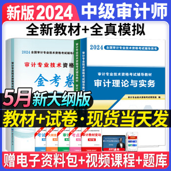 审计师中级教材2024新版历年真题及全真模拟试卷初级中级审计理论与实务审计专业相关知识审计师初中高级 审计师中级（理论与实务+相关知识）教材+试卷