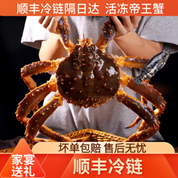 活冻俄罗斯帝王蟹冰鲜水产鲜活螃蟹海鲜超大长脚蟹生鲜帝皇蟹 10-10.5斤一只装 活冻