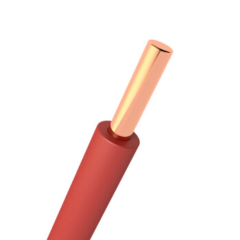 德力西(DELIXI)电线电缆 BV4平方 单芯单股铜线 家装家用铜芯电线 100米 红色火线