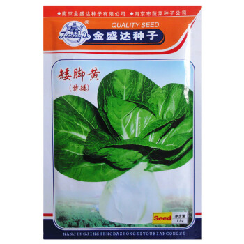 南京矮脚黄小青菜种子头大青白菜籽阳台菜园四季播种高产蔬菜种子 矮