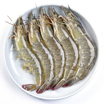 厄瓜多尔白虾 4斤毛重 冻虾 虾 大虾生鲜白虾海