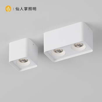 仙人掌照明方形LED明装射灯无主灯照明双头斗胆灯