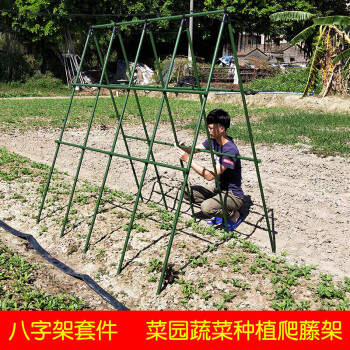 俭敏耀豆角黄瓜爬藤架子家庭种植架菜园蔬菜植物支撑架大棚骨架户外