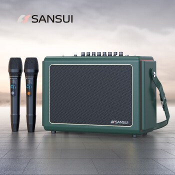 山水（SANSUI）Z5无线蓝牙音箱重低音炮大功率便携手提移动k歌麦克风话筒音响一体自带声卡广场舞音响户外大音量 墨绿色 震撼重低音+双话筒