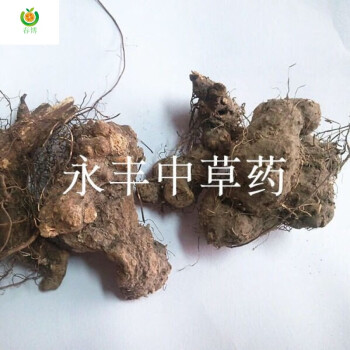 野生香茶菜根 溪黄草根 铁菱角 铁棱角 铁钉角