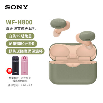 索尼（SONY）WF-H800真无线蓝牙立体声耳机 长久续航 苹果/安卓适用 灰绿色