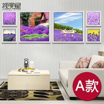 
                                        视觉星现代简约客厅装饰画电表箱画卧室床头挂画餐厅壁画油画摆件照片墙薰衣草 C款 白色L框70x70x2+32x32x4(一套)                