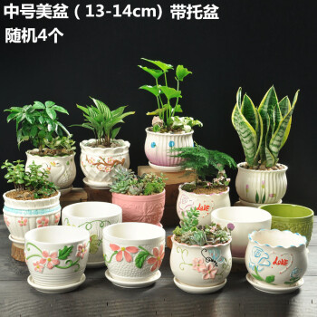 紫砂塑料粗陶室内多肉植物小花盆 墨绿色 中号美盆13-14cm_现价-1元