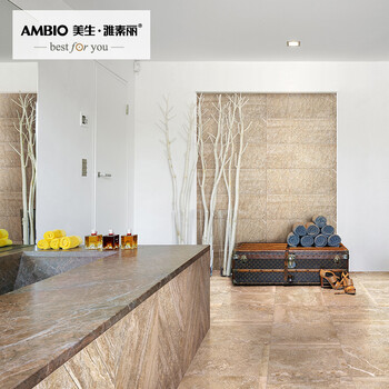 美生瓷砖专营店