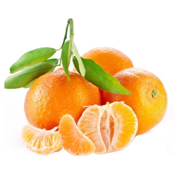 湖北宜昌早熟水果柑橘子 金桔子水果蜜桔酸甜