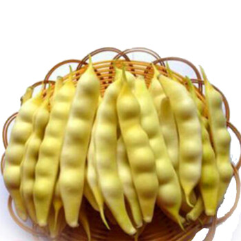 维桑 东北黄豆角 特产新鲜黄豆角 黄金勾豆角 新鲜蔬菜 3斤