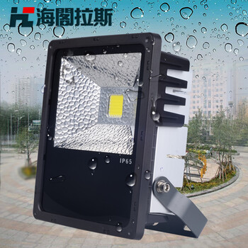 海阁拉斯LED投射投光泛光灯 正白暖白光(晶元) 50w