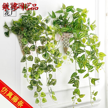 园艺仿真藤条 壁挂花藤 室内绿植海棠叶藤蔓藤条装饰植物墙假花吊兰 2