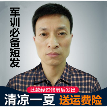 帅气假发男韩版短发中老年男士假发真发短直发寸头平头短发假发套 100