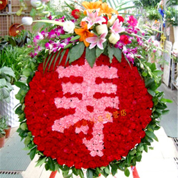 天津汉沽区大港区东丽区西青区津南区北辰区武