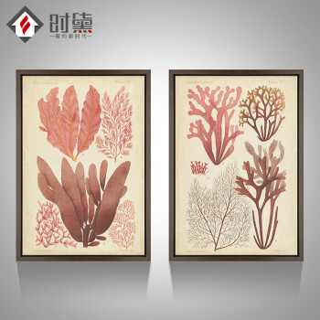 时黛 美式客厅装饰画有框 沙发背景墙画餐厅壁画玄关挂画卧室床头画 珊瑚海 SD088 6折 哑光棕色木纹A画芯75*105