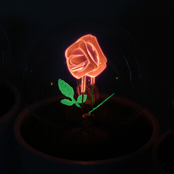 绿盒子 led盆栽花火小夜灯 带开关节能浪漫床头灯小台灯 创意情人节表白生日礼物 I LOVE YOU