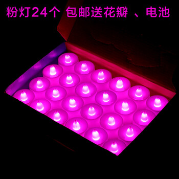 
                                                            520情人节蜡烛led电子蜡烛灯生日表白求婚道具创意浪漫无烟 白灯(24个一盒) 开关款                