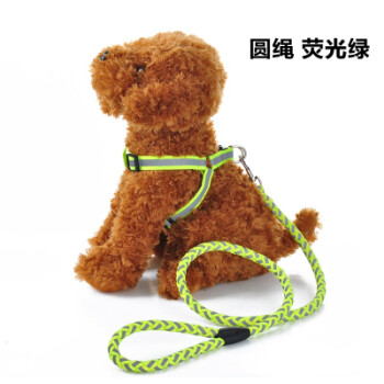 狗链子小型犬泰迪金毛狗狗牵引绳拉不拉多中型犬狗绳猫链宠物用品 圆