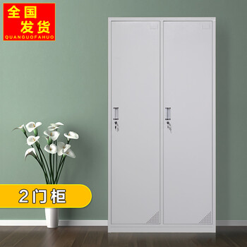 2门二门员工储物柜 更衣柜家用铁皮衣柜健身房会员柜带锁双门柜子