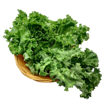 维桑 羽衣甘蓝 500g 新鲜蔬菜 沙拉菜 叶杜丹绿叶花包菜kale 日天