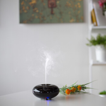 
                                        GXDiffuser 香薰加湿器  办公室家用迷你静音香薰机 净化空气加湿器 深木色                