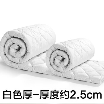 
                                        菲罗菈家纺 床褥 床护垫 席梦思防滑床护垫 薄床垫床褥四季可折叠学生宿舍 加厚床褥1.5米床 白色厚 150cm*200cm                