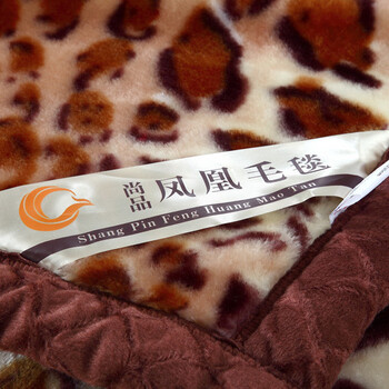 
                                        尚品凤凰 秋冬大毯子双层加厚拉舍尔毛毯 魅惑豹纹 160*210cm/5斤                