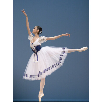 芭蕾舞蹈演出服装芭蕾舞仙女白纱泡泡袖长裙蓬蓬连体裙 白色 xl
