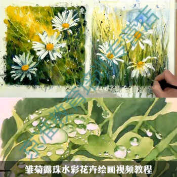 兰缪11水彩高清视频教程★国外大师花卉绘画雏菊★露珠初级绘制技法