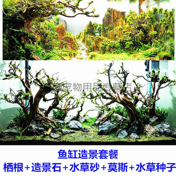 鱼缸水族箱造景套餐龙须根杜鹃根枝条沉木莫斯树造景