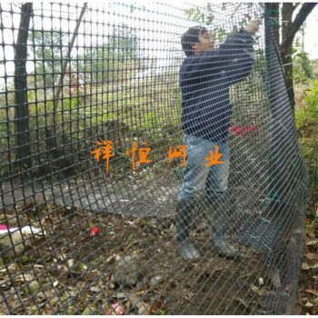 定制塑料格栅拦鸡网黑色防护网家禽养殖围栏网鸡鸭围栏网栅栏护栏 1*