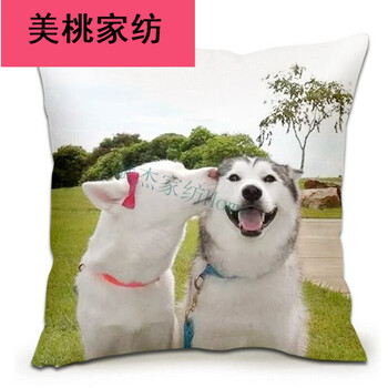 狗年哈士奇抱枕柴犬搞怪狗头表情包单身狗二哈抱枕神烦狗男生靠垫b 小