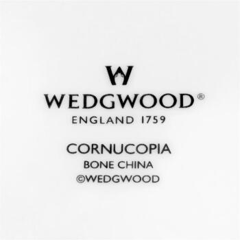 Wedgwood Cornucopia  丰饶之角黑边20cm平盘单只装