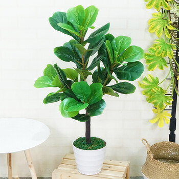 7米琴叶榕 假树装饰绿色植物落地室内盆栽盆景 0.